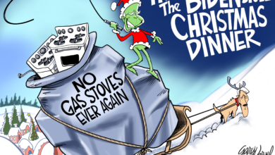 Joe Biden grinch inflation gas stoves