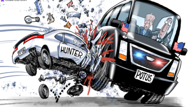 Hunter Biden Joe Biden 2024 wreck