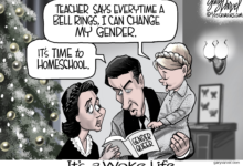 Woke gender ideology homeschool