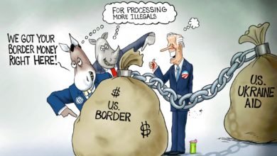 Joe Biden border crisis money