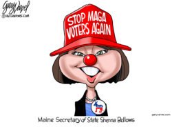 Shenna Bellows Donald Trump Maine