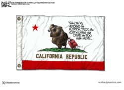 California bear leaving