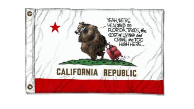 California bear leaving