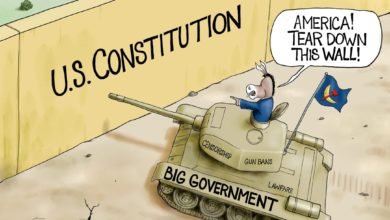 Democrats Constitution lawfare deep state