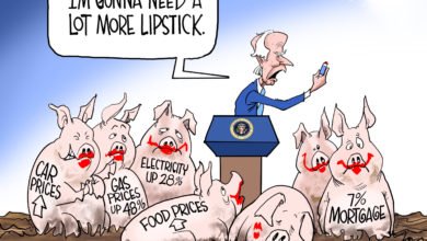 Biden lipstick pig Bidenomics