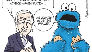 Biden economic advisor shrinkflation cookie monster