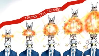 Media trump poll numbers