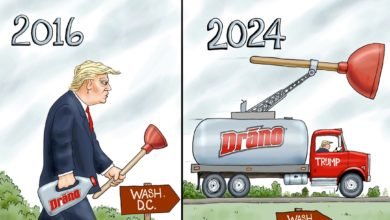 Trump 2024 Drain the swamp