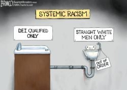 DEI Racism