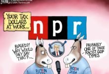 NPR media bias