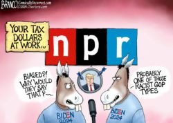 NPR media bias