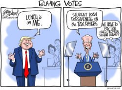 Buying Votes