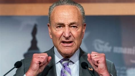 NextImg:Barrage Of Liberal Judges Will Be Schumer’s Swan Song